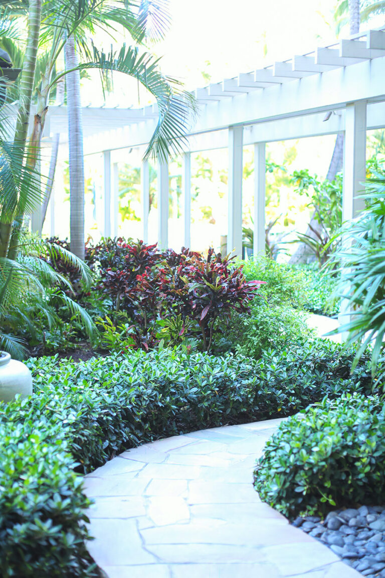 Curated visual reference: Fresh Look at Elite Waikiki Condominiums