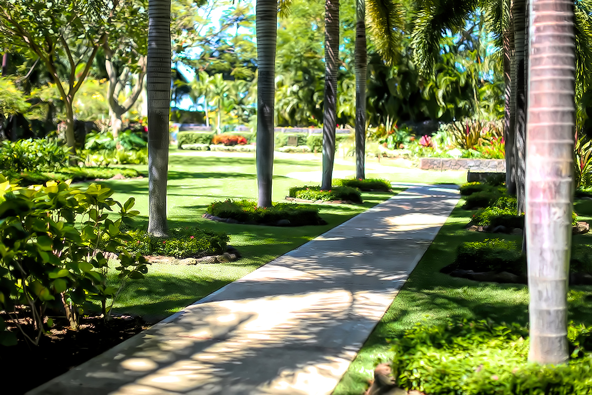 Picture of Elite Waikiki Condominiums - Ultimate Innovations Inc.