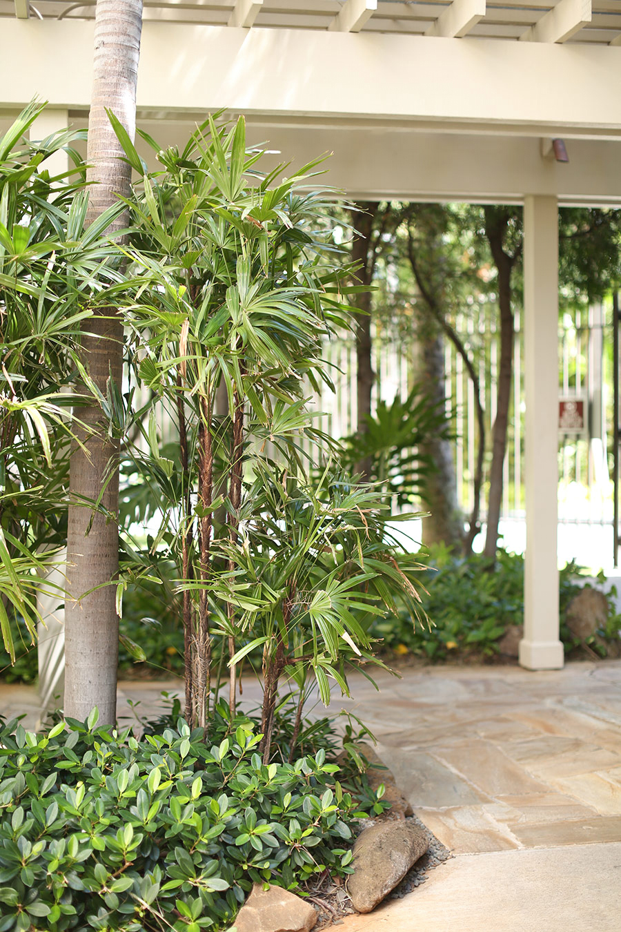 Curated Elite Condominiums With Rooftop Amenities Gallery View 31