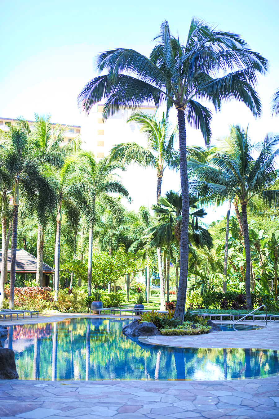 Picture of Elite Waikiki Condominiums - Ultimate Innovations Inc.
