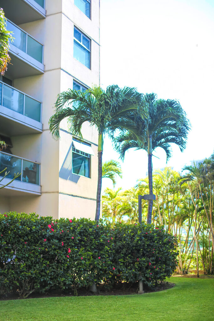 Waimanu Condominiums - Ultimate Innovations - Honolulu, HI - Commercial Landscaping and Landscape Maintenance