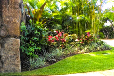Landscape Design - After Image - Ultimate Innovations - Honolulu, HI
