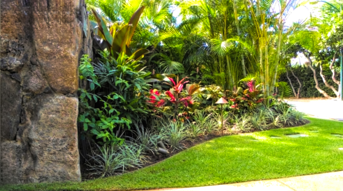 Landscape Design - After Image - Ultimate Innovations - Honolulu, HI