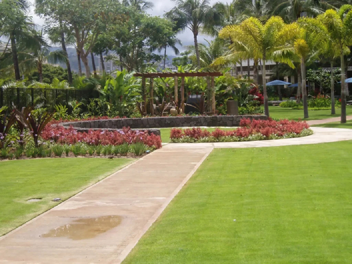 Lawn Renovation - Ultimate Innovations - Honolulu, HI