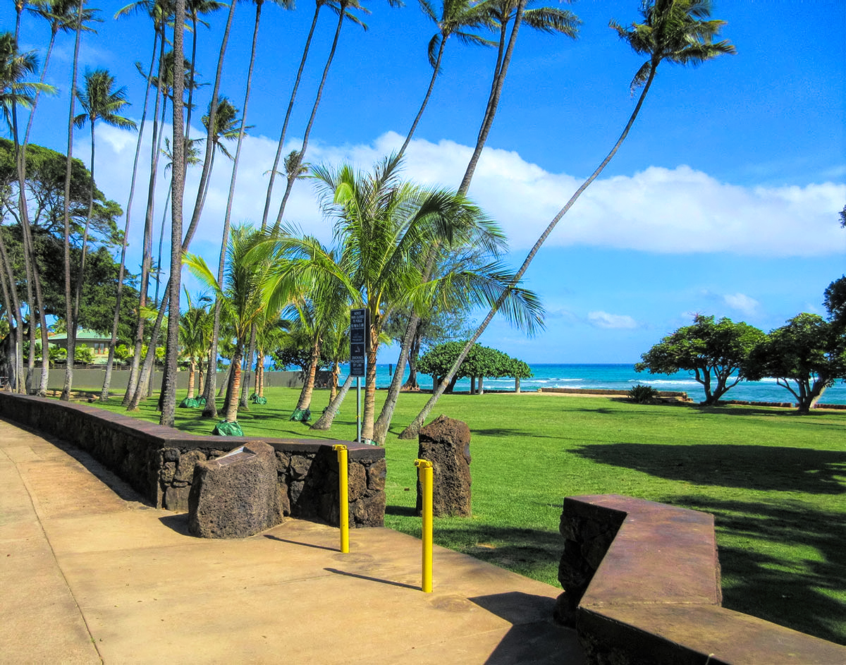Landscape Installation - Ultimate Innovations, Honolulu, HI