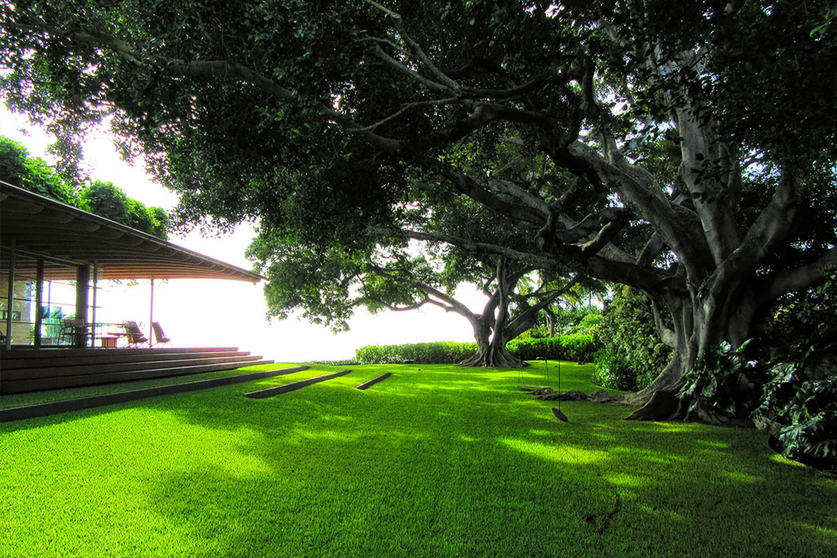 Landscape Maintenance - Ultimate Innovations - Honolulu, Hawaii