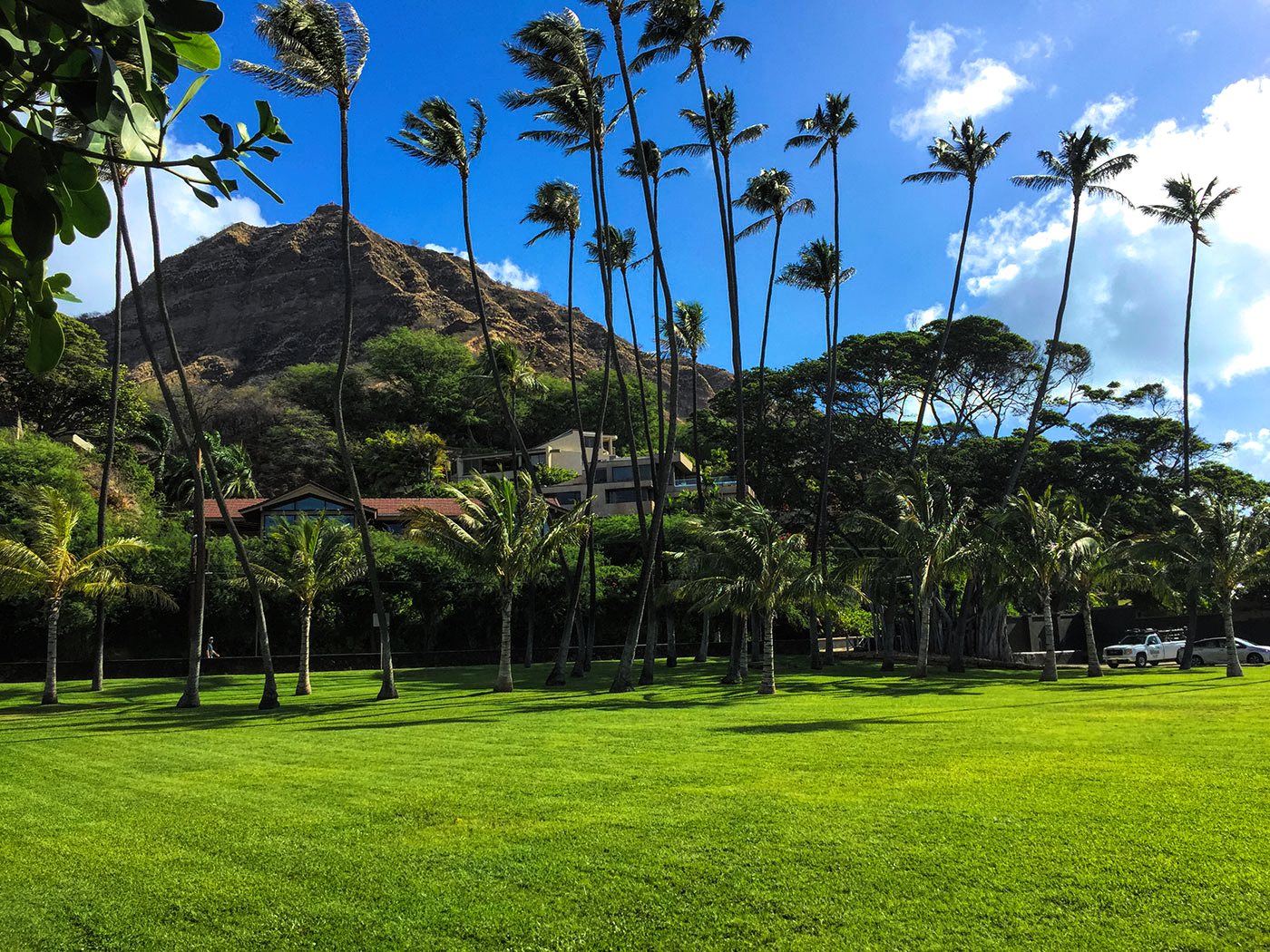 Landscape Design - Ultimate Innovations, Honolulu, HI