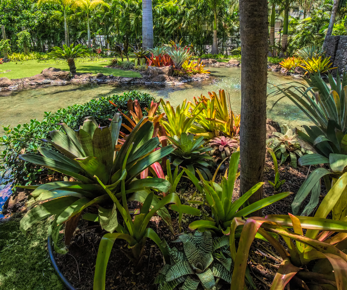Landscape Maintenance - Ultimate Innovations - Honolulu, HI