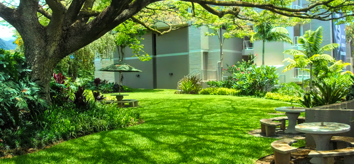 Landscape Maintenance - Ultimate Innovations - Honolulu, HI