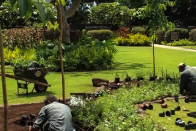 Landscape Maintenance - Ultimate Innovations, Honolulu, HI