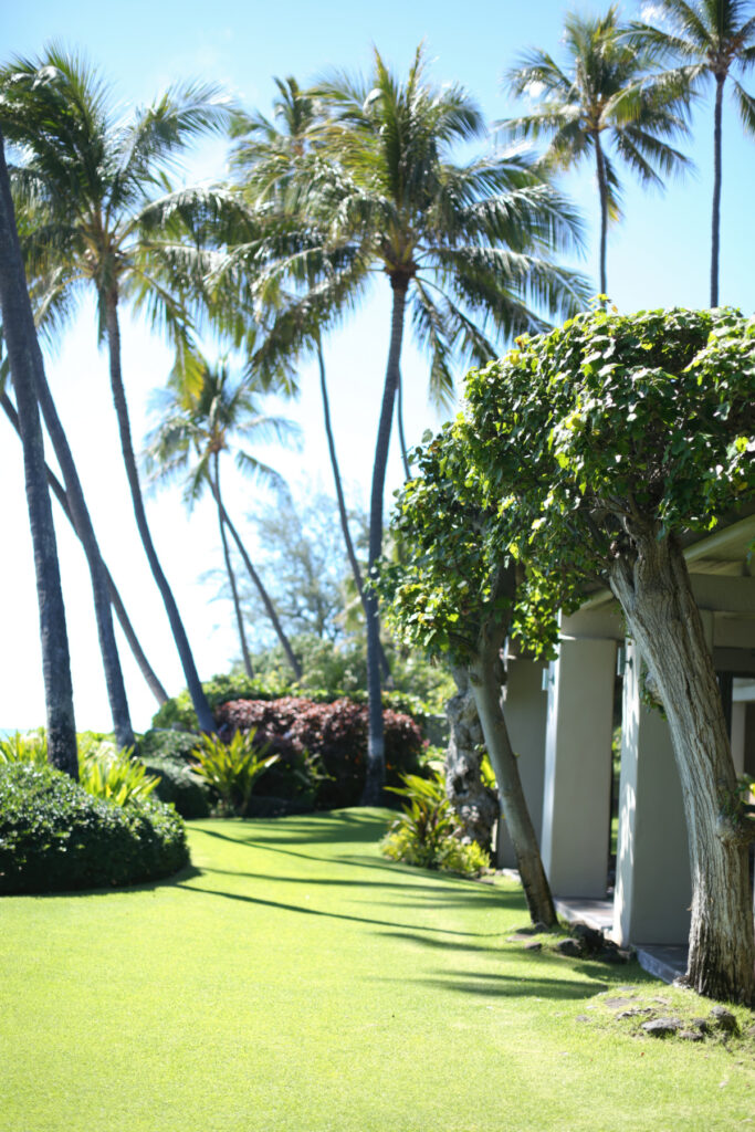 Residential Landscape Maintenance - Ultimate Innovations - Honolulu, HI